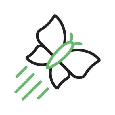 Create – Reflect, Simplify & Express